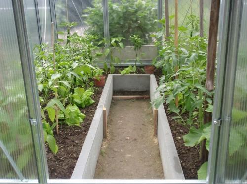 skleník LANITPLAST LIMES Viva V6/3 PC 4 mm