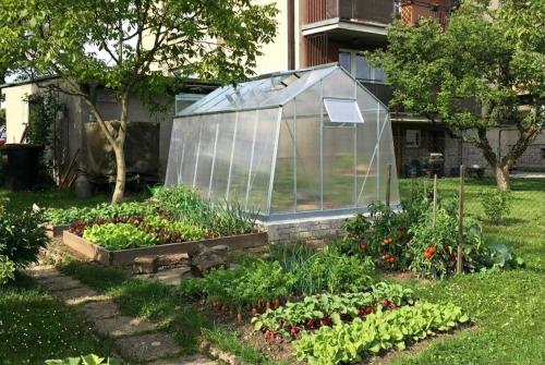 skleník LANITPLAST LIMES Viva V7/3 PC 6 mm