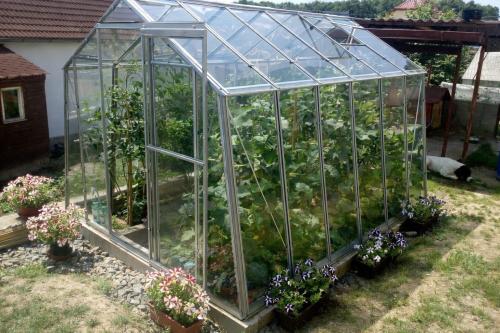 skleník LANITPLAST LIMES Viva V7/6 čiré sklo 3 mm