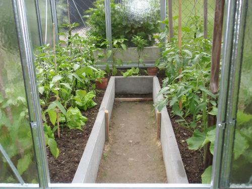 skleník LIMES Hobby H6/4,5 1,97x4,48 m čiré sklo 4 mm