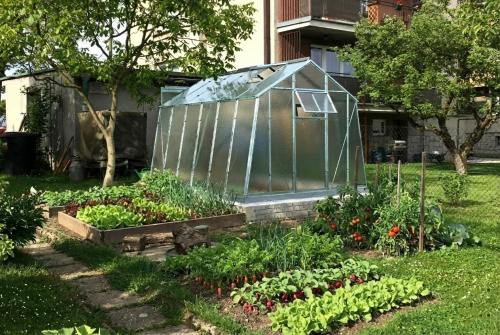 skleník LIMES Hobby H7/3 2,47x3,00 m rozptylové sklo 4 mm