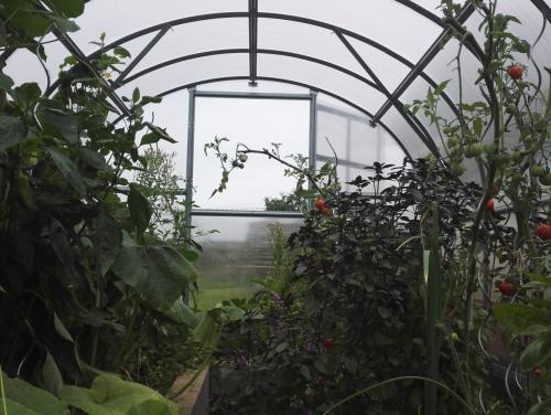Zahradní skleník z polykarbonátu Gardentec Classic 4 mm 4 x 3 m
