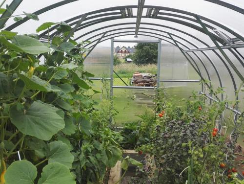 Zahradní skleník z polykarbonátu Gardentec Classic PROFI 6 mm 8 x 3 m